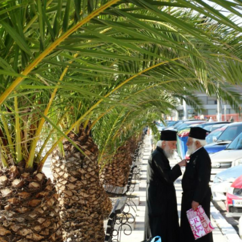 Onderonsje in Argostoli!