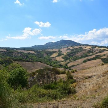 Omgeving