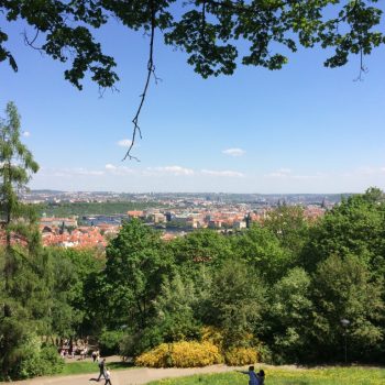 Halverwege Petril Hill