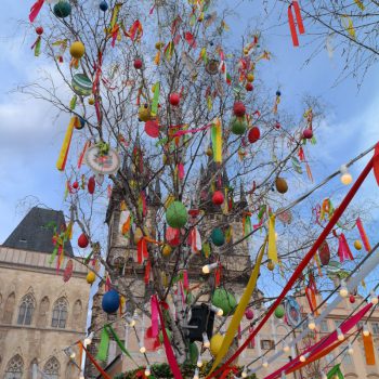 Foto door Jill Van Ouytsel