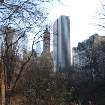 Central park