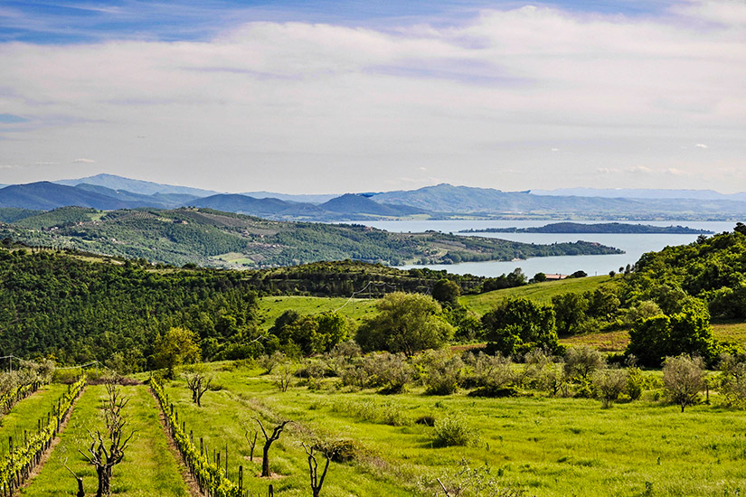 Trasimeno-See