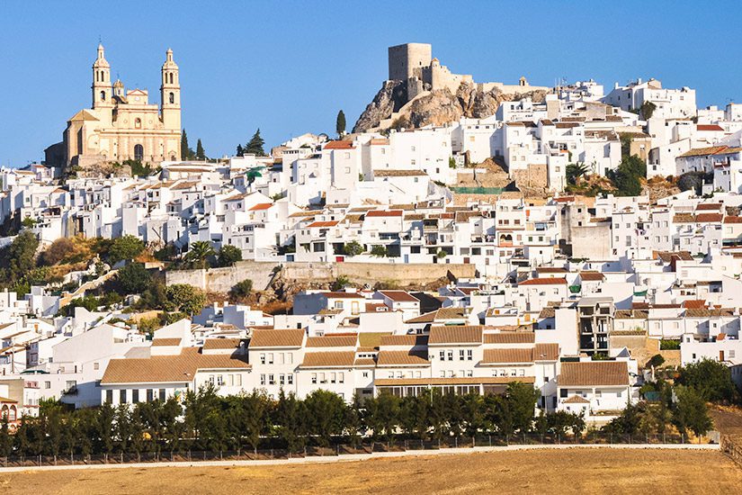 Olvera