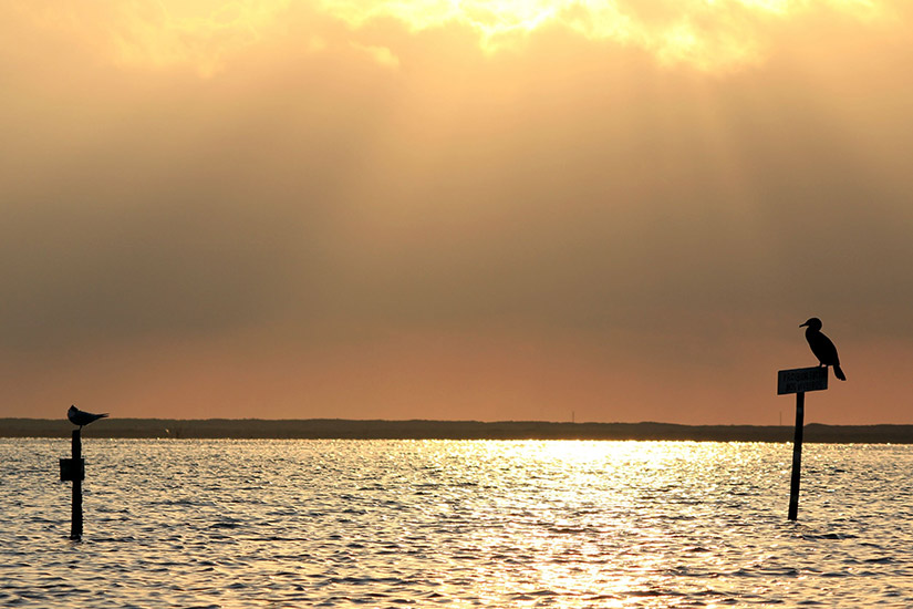 Ria Formosa