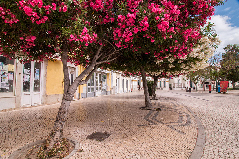 Zentrum von Faro