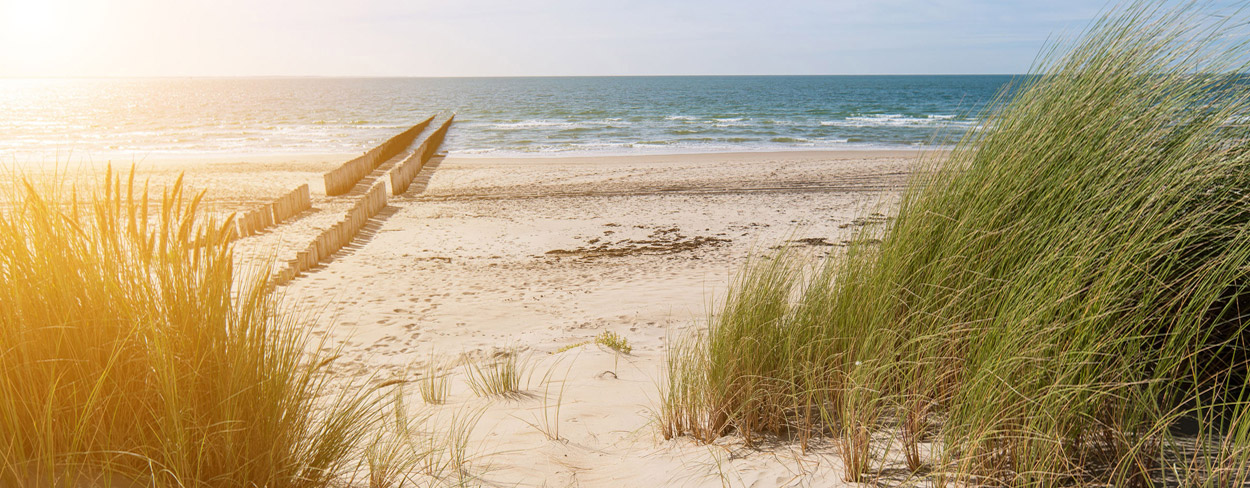 Zeeland: alle Highlights, Aktivitäten & Unterkunfts-Tipps für Urlaub in der Provinz Zeeland