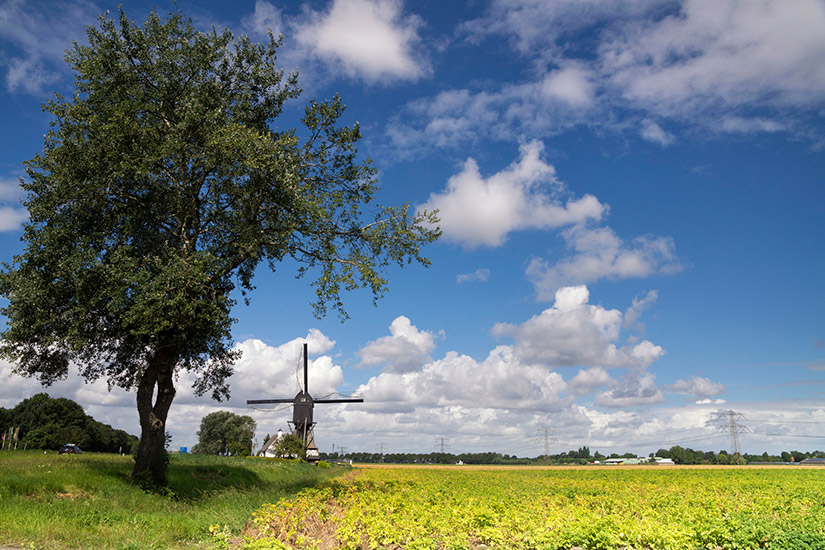 Hoeksche Waard, Südholland