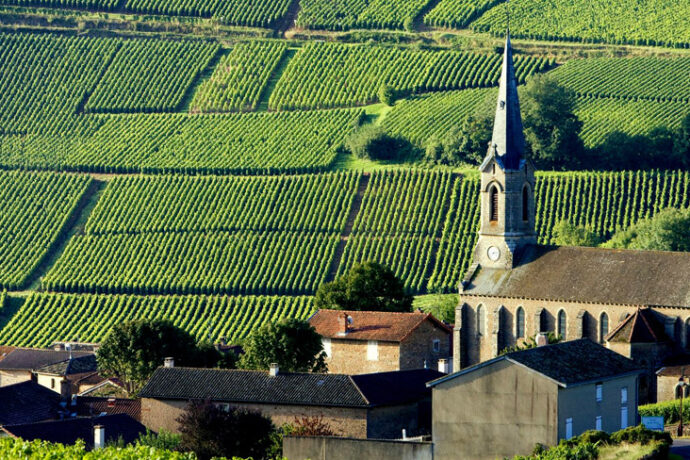 Burgund