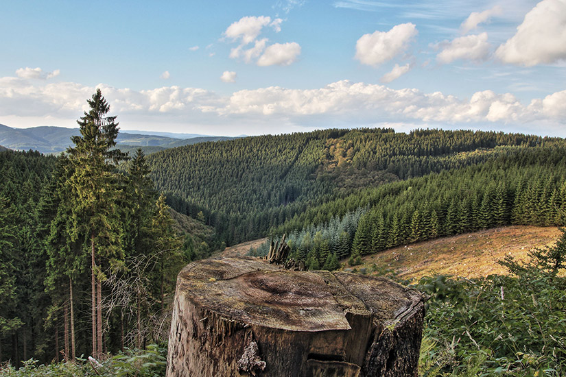 Rothaargebirge, Sauerland