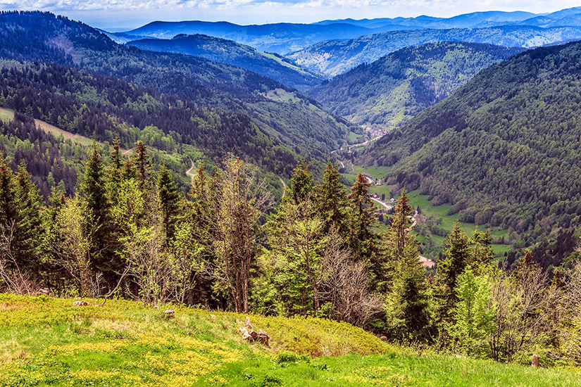 Der Feldberg, Schwarzwald