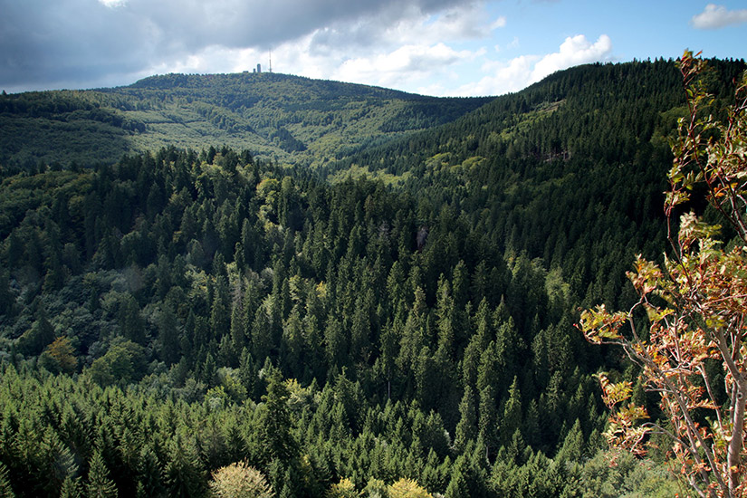 Rennsteig, Thüringen