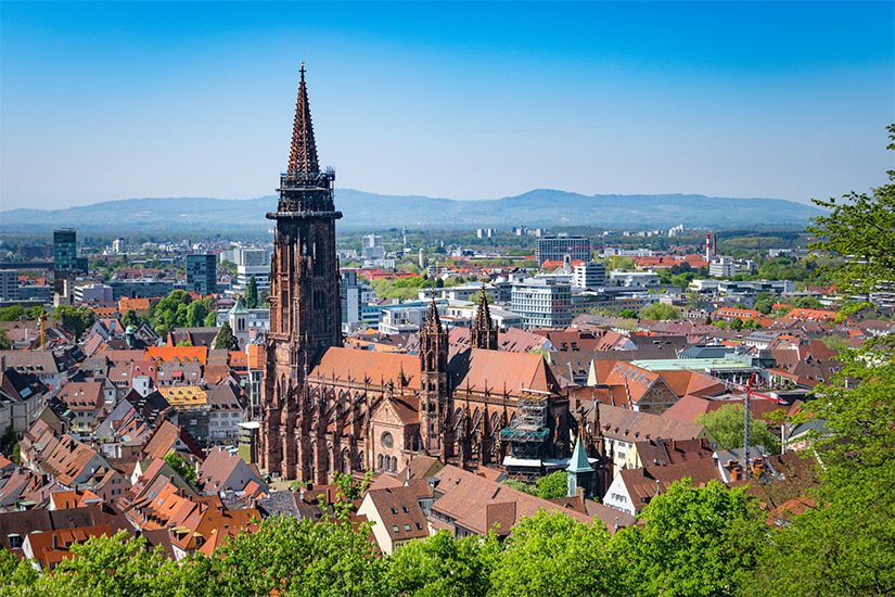 Freiburger Münster
