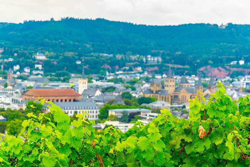 Petrisberg, Trier