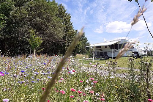 Campingplatz Hof Biggen