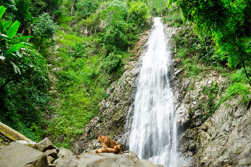 Namtok Khun Kon Waldpark